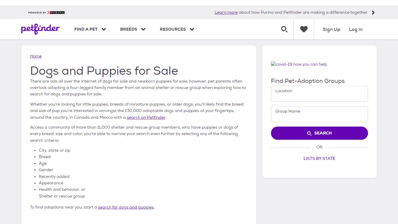 Dogs and Puppies for Sale | Petfinder